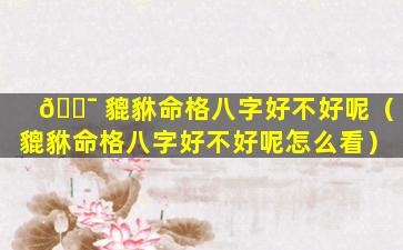 🐯 貔貅命格八字好不好呢（貔貅命格八字好不好呢怎么看）